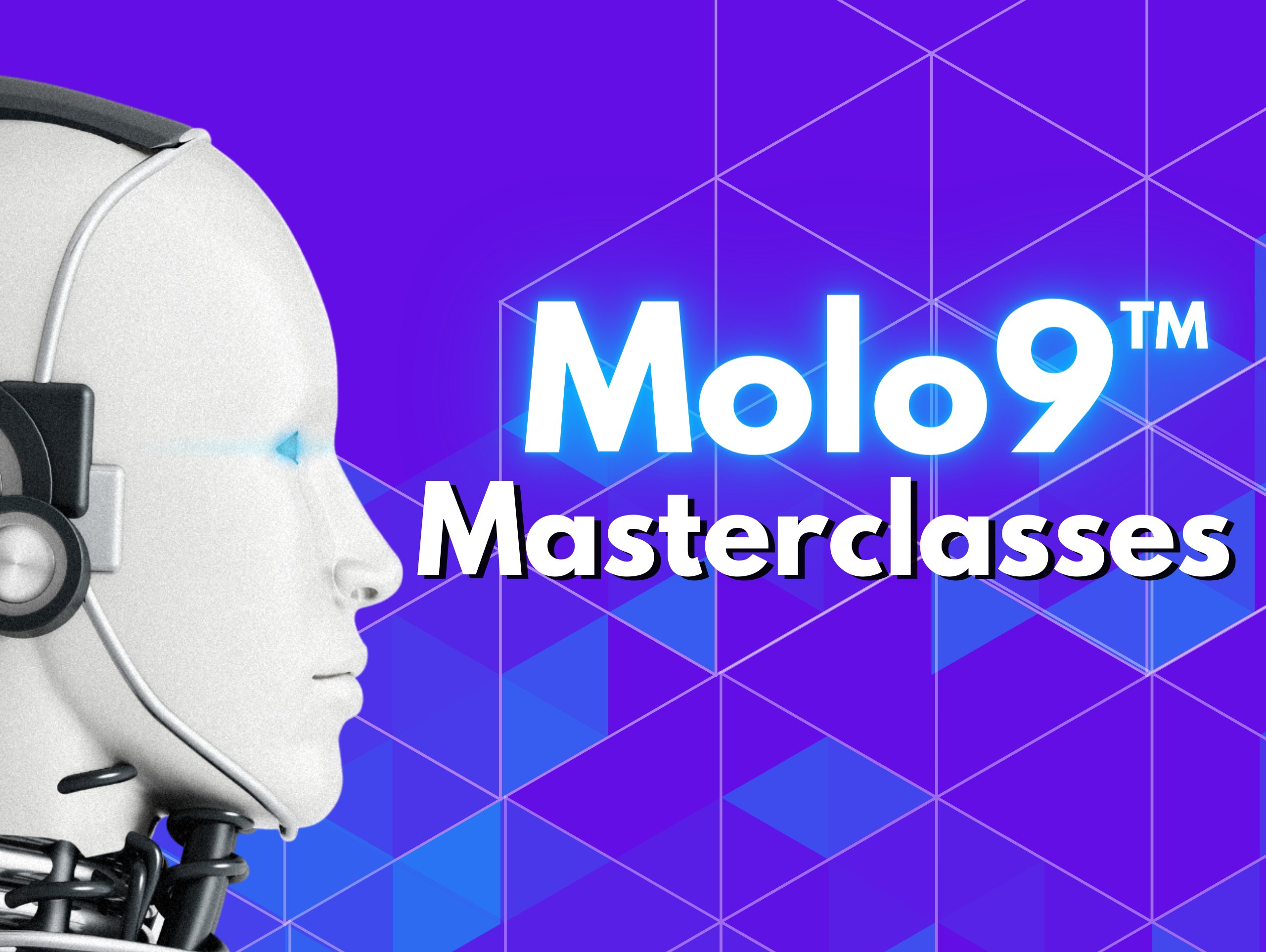 Molo9.co (8)